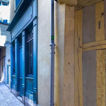 La Maison Verte -hypercentre-confort Appartamento