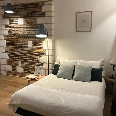 La Maison Verte -hypercentre-confort Διαμέρισμα *