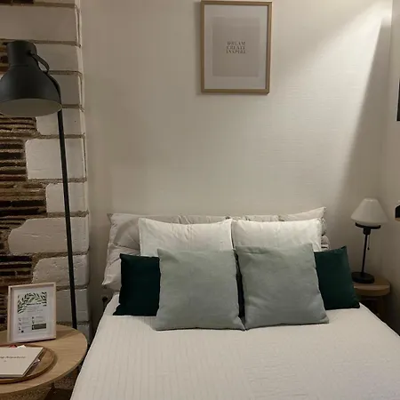 Apartmán La Maison Verte -hypercentre-confort *