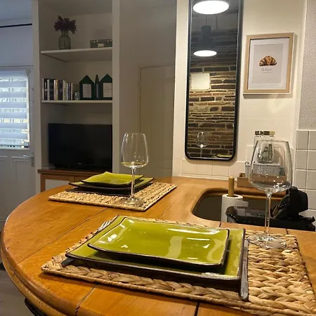 Apartmán La Maison Verte -hypercentre-confort Troyes
